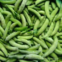 IQF Sugar Snap Peas con Estándar ISO22000